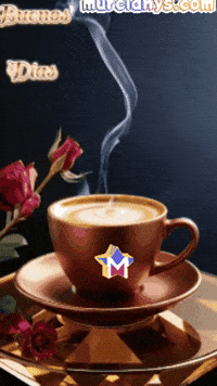 Feliz Amigos GIF by Murcianys LLC