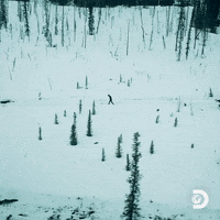 Gold Rush Snow GIF by Discovery