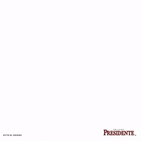 BrandyPresidente_MX meme party friends fiesta GIF