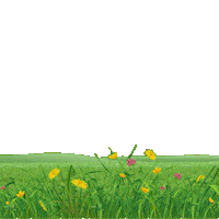 Agropecuária Sticker by Conexão Agricola