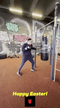 Kung Fu Mma GIF by Casol