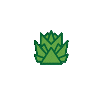 weedwavesurfer hop single hop single hop player хмель Sticker