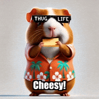 Guinea Pig Snack GIF by Guinea Gambino