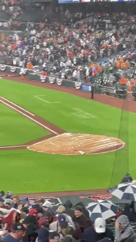Camden Yards Baseball GIF by Storyful
