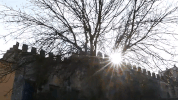 sun portugal GIF by For 91 Days