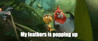 I Dont Like This Rio 2 GIF