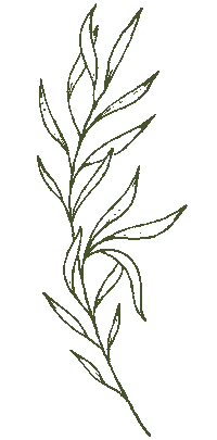 Tattoo Plant Sticker