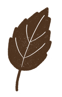 Fall Autumn Sticker by Daniela Nachtigall