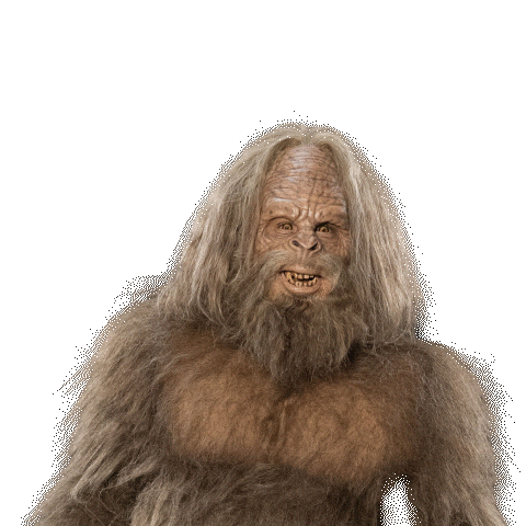 Mascot Yes Sticker by Jack Link's Jerky