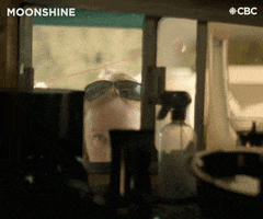 Cbc Tv Creeper GIF by CBC