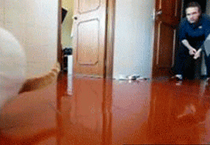 magnet engage GIF