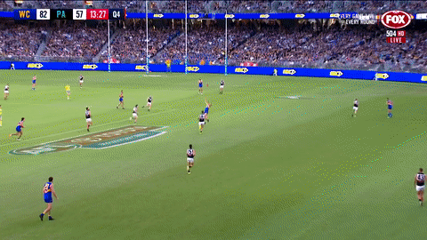 2018 season football GIF by AFL