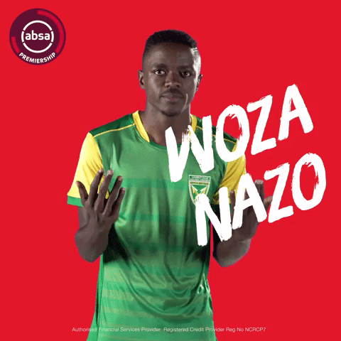 south african soccer GIF