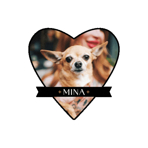 Mina Chihuahua Sticker by bolt brow