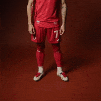 Stlcitysc GIF by St. Louis CITY SC