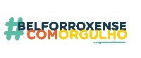 Belford Roxo Waguinho Sticker by Democratas