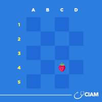 GIF by CIAM 
