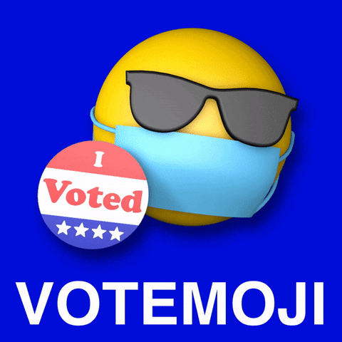Election 2020 Trump GIF by INTO ACTION
