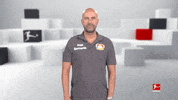 Bayer Leverkusen Reaction GIF by Bundesliga