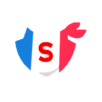 Fiestas Patrias Sticker by superpet