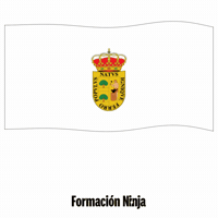 Bandera Sevilla GIF by Formación Ninja