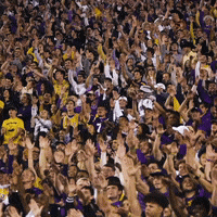 Lsu Football GIF by LSU Tigers