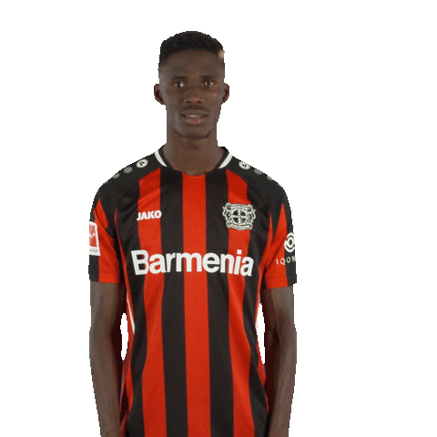 Oh No Facepalm Sticker by Bayer 04 Leverkusen