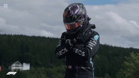 Lewishamilton Wentpeo Formula1 F1 Hamilton GIF