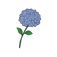 Flower 꽃 Sticker