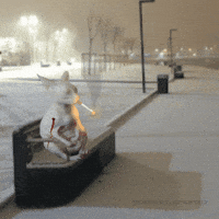 Sad Cat GIF