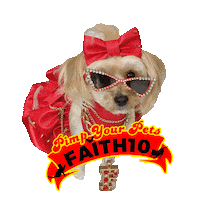 Dog Fashion Sticker by Pimp Yo Pets