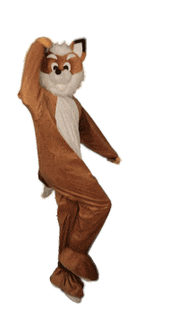Rollins Gifs Fox Day Sticker by Rollins College