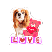Cavalierkingcharlesspaniel Sticker