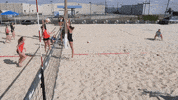 beach volleyball GIF by GreenWave