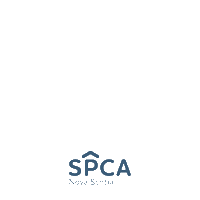 Cats Dogs Sticker by Nova Scotia SPCA