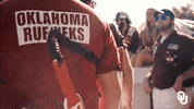 Oklahoma Sooners Boomer GIF by University of Oklahoma