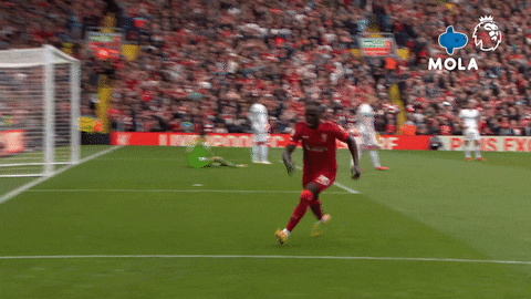Happy Premier League GIF by MolaTV