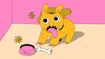 GUAZZABUGLIO (Trailer)