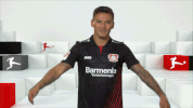 bayer leverkusen love GIF by Bundesliga