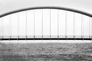 black and white loop GIF by A. L. Crego