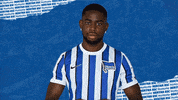 Sorry Bundesliga GIF by Hertha BSC