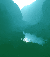 art loop GIF by Carl Burton