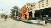 Baseball Tiger GIF by NCAA Championships