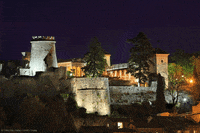 castle wwf GIF by Earth Hour