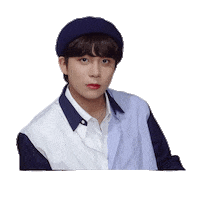 Idol Ateez Sticker