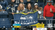 National Football League GIF by NFL