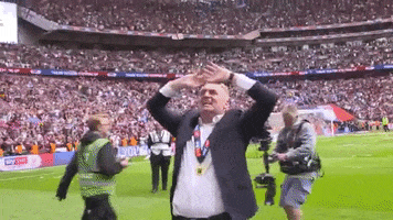 AstonVillaFC happy sports football sport GIF