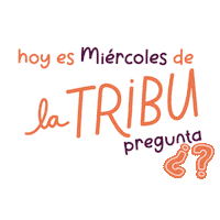 Preguntas Sticker