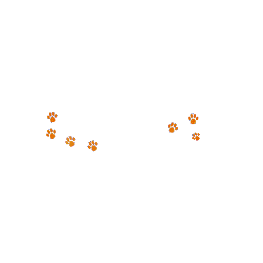 Dog Viviresincreible Sticker by gnpseguros