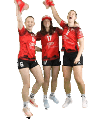 Volleyball Svf Sticker by Rotes Rudel